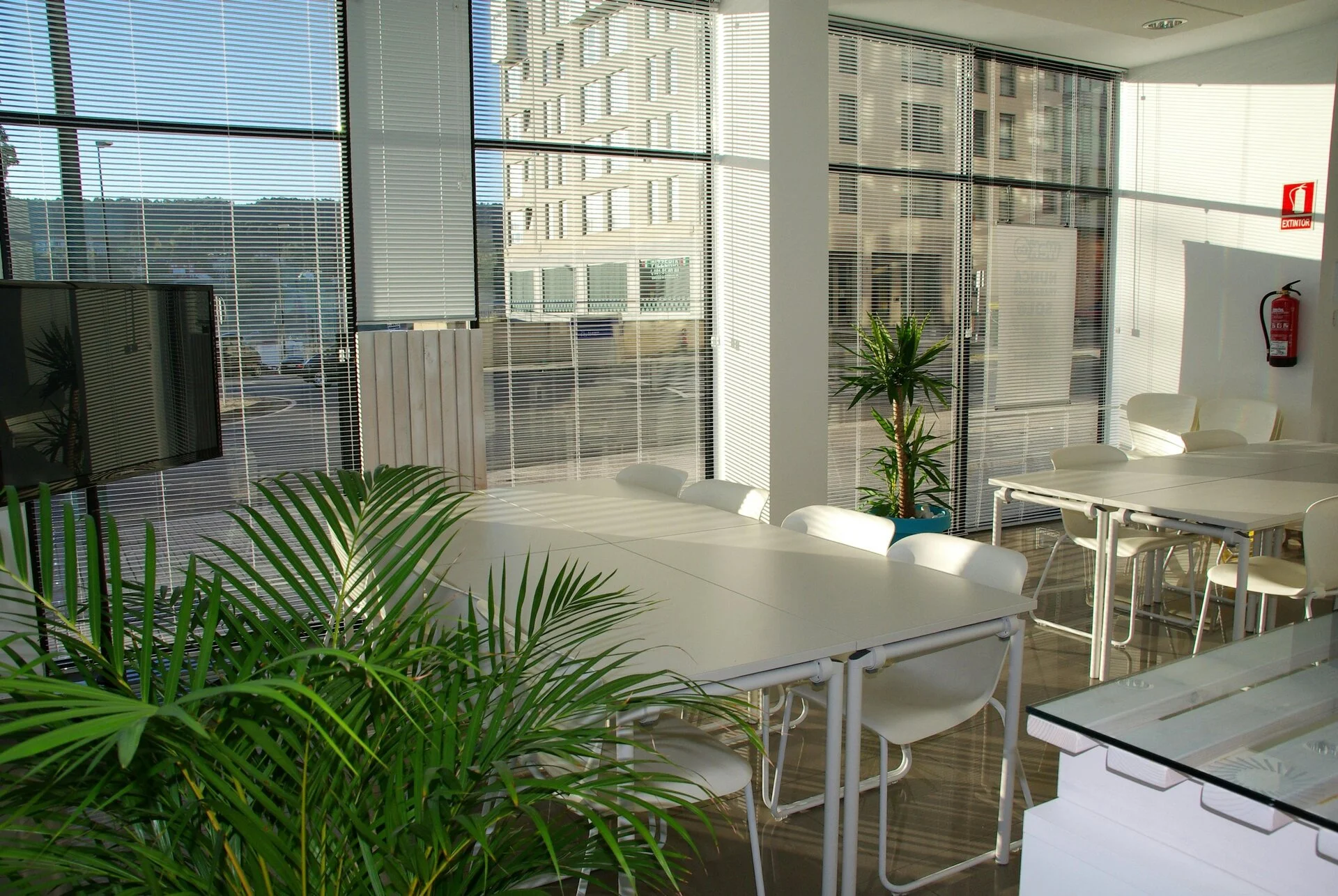 Salle de réunion dans laquelle se déroulera la séance de coaching